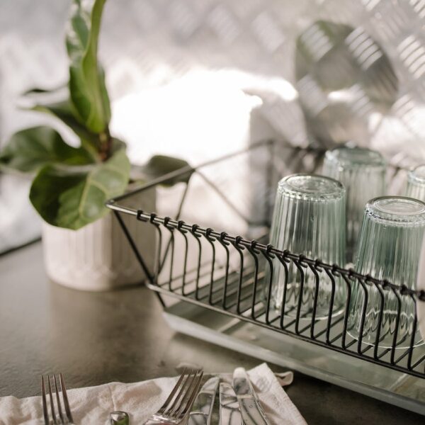 green plant on white metal rack