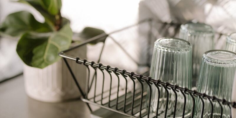 green plant on white metal rack